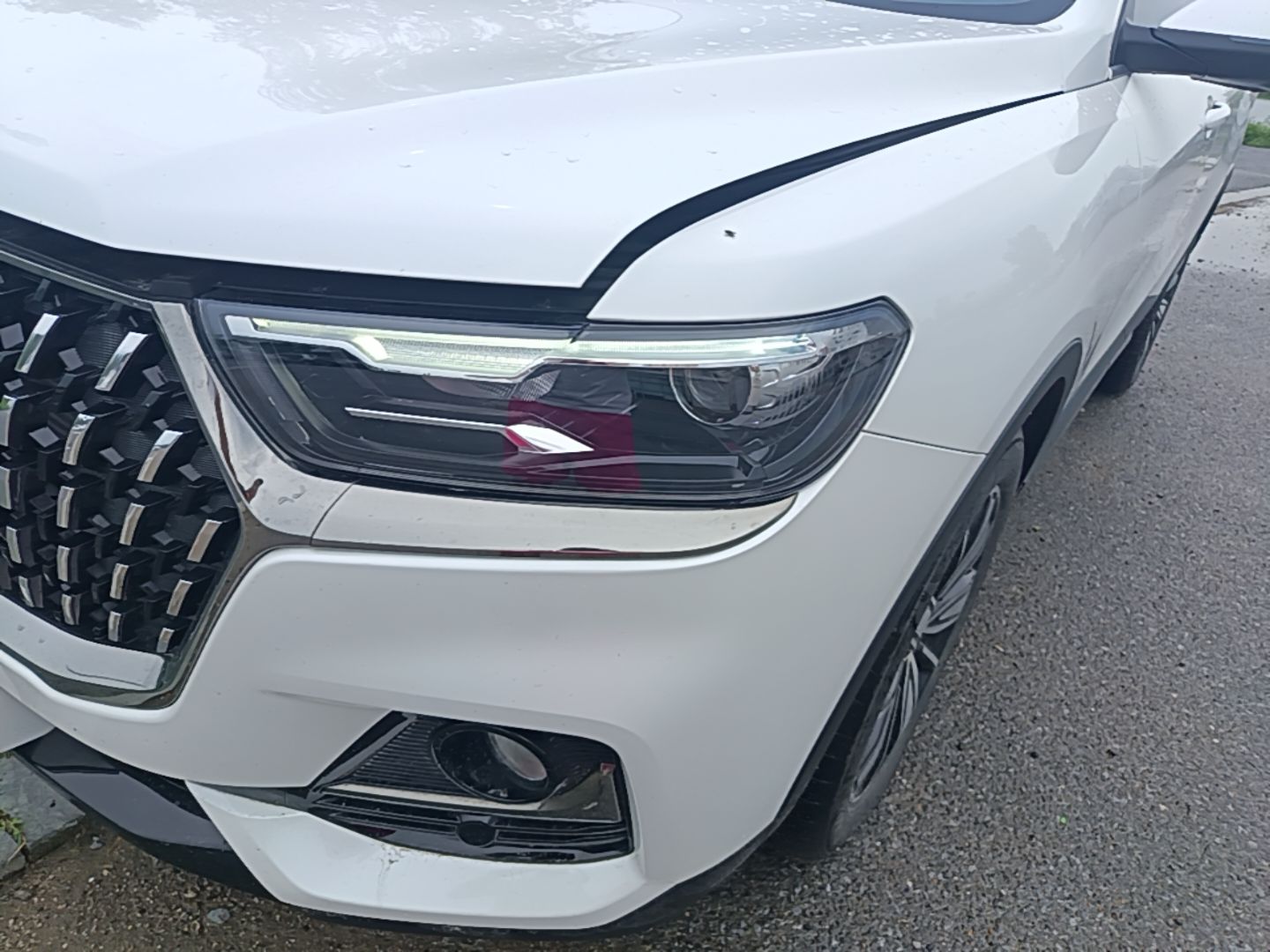 车300二手车图片