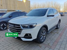 哈弗H6 2021款 国潮版 1.5GDIT 自动冠军版