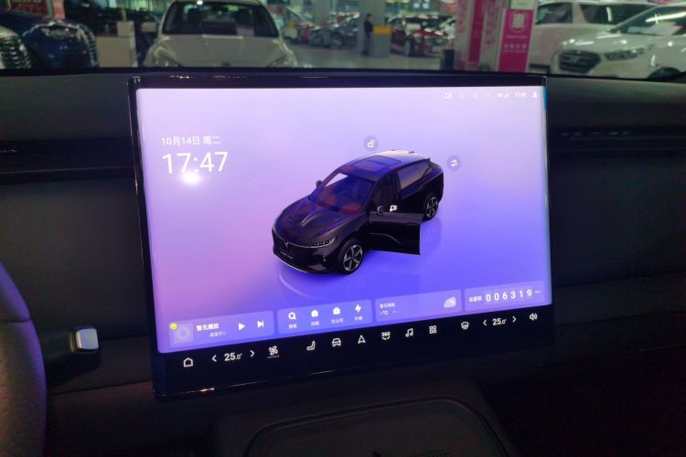 岚图汽车 岚图知音 2024款 四驱全球版局部细节14