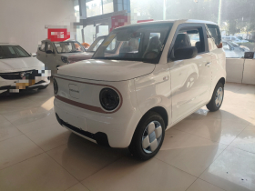 吉利银河 2024款 熊猫mini 200km 耐力熊