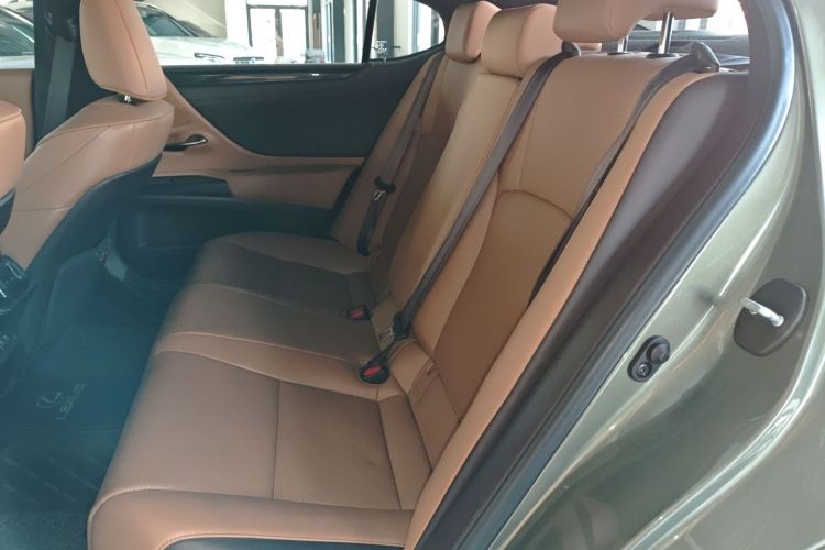 雷克萨斯ES 2020款 200 卓越版中控内饰7004