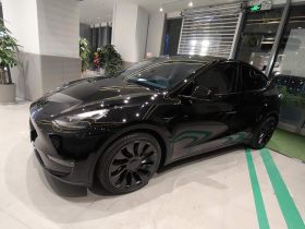 特斯拉 Model Y 2024款 Performance高性能版