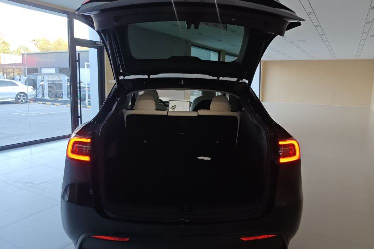 特斯拉 Model Y 2021款 长续航全轮驱动版 3D7机舱底盘23
