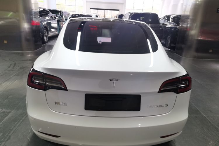 特斯拉 Model 3 2021款 标准续航后驱升级版 3D6车身外观6004