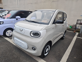 五菱汽车 宏光MINIEV 2024款 第三代 215km 青春版