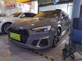 奥迪A5 2021款 Sportback 40 TFSI 时尚致雅型
