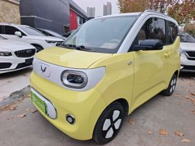 五菱汽车 宏光MINIEV 2024款 第三代 215km 进阶版