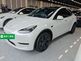 特斯拉 Model Y 2024款 后轮驱动版