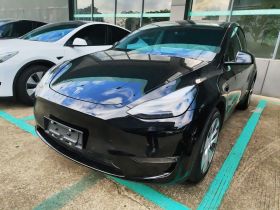 特斯拉 Model Y 2022款 改款 长续航全轮驱动版