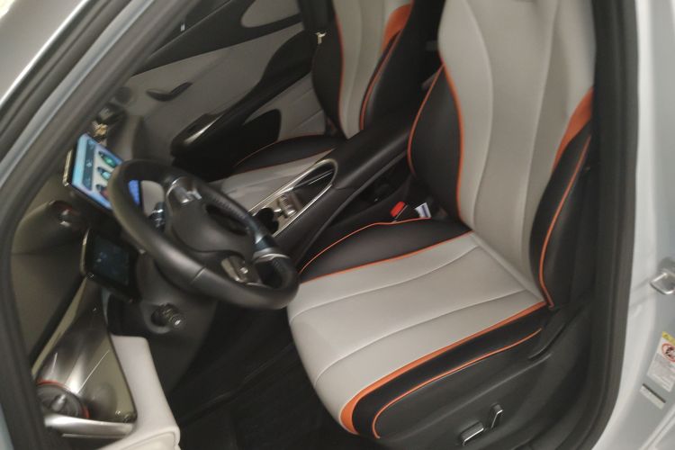 比亚迪 海豚 2021款 401km 骑士版局部细节19