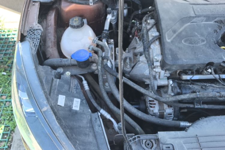 福特 福克斯 2021款 猎装版 EcoBoost 180 自动猎潮型局部细节9005