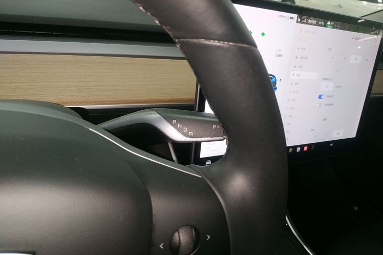 特斯拉 Model 3(进口) 2019款 长续航后驱版中控内饰18