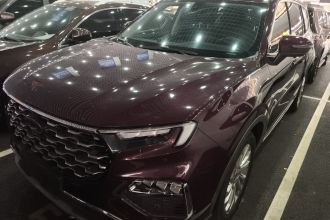 福特 领裕 2021款 EcoBoost 225 铂领型 6座