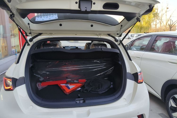 比亚迪 海豚 2025款 420km 自由版局部细节23