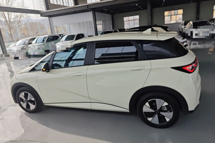 比亚迪 海豚 2023款 420km 自由版车身外观6003