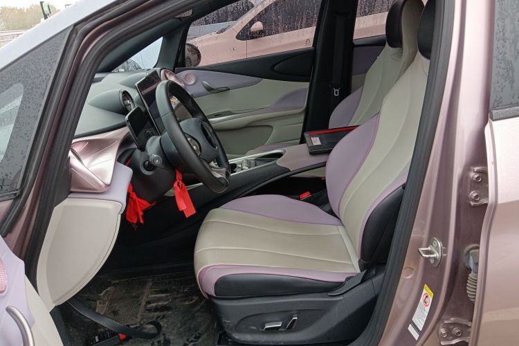 比亚迪 海豚 2021款 401km 骑士版局部细节19