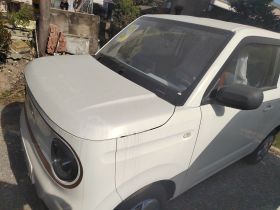 吉利银河 2024款 熊猫mini 200km 耐力熊