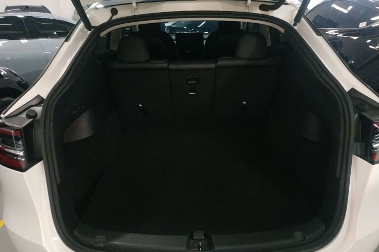 特斯拉 Model Y 2021款 长续航全轮驱动版局部细节23