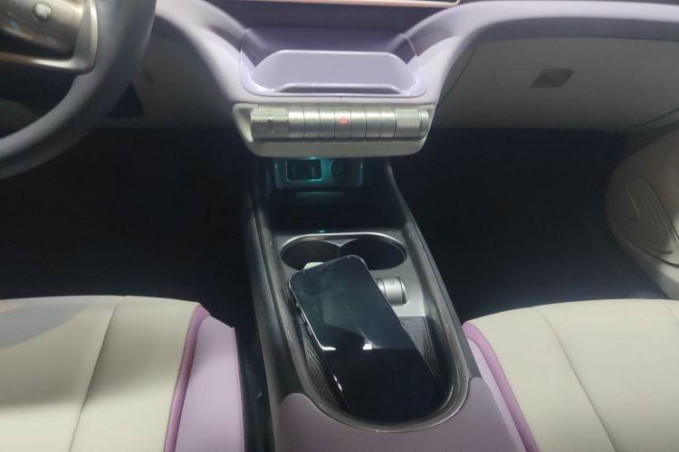 比亚迪 海豚 2021款 405km 自由版局部细节18