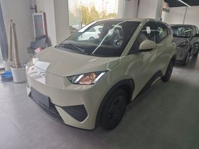 比亚迪 海鸥 2025款 智驾版 305km 活力版