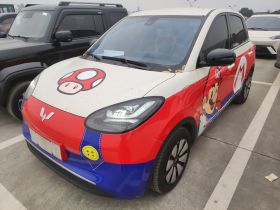 五菱汽车 五菱缤果 2023款 333km 悦享+款