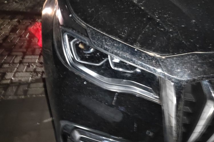 红旗HS7 2021款 2.0T DCT两驱智联旗畅版车身外观8