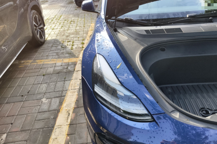 特斯拉 Model 3 2021款 标准续航后驱升级版 3D6局部细节9003