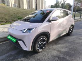 比亚迪 海鸥 2023款 自由版