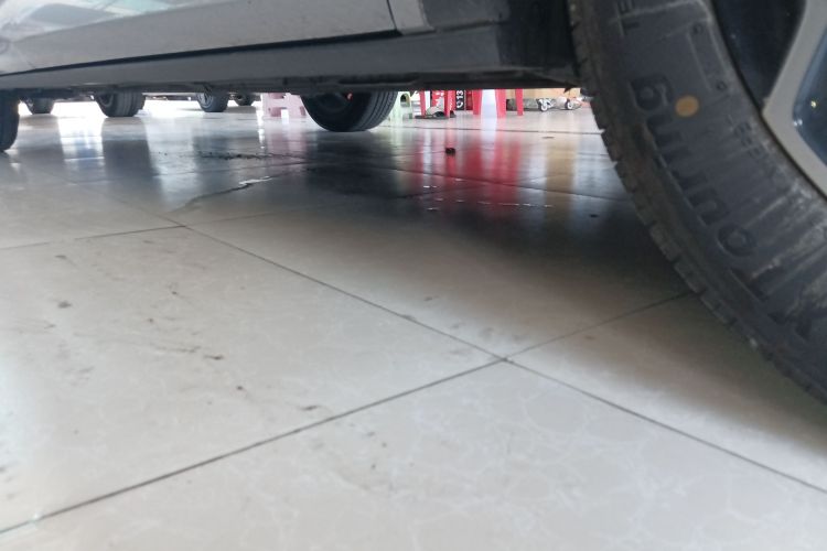 比亚迪 海豚 2021款 405km 自由版局部细节9001