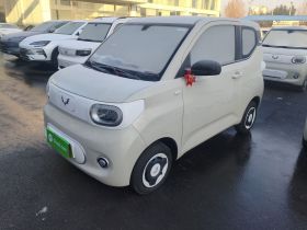 五菱汽车 宏光MINIEV 2024款 第三代 215km 青春版