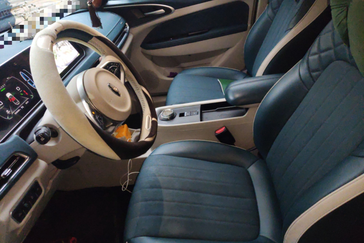 欧拉好猫 2021款 400km标准续航 维纳斯版 磷酸铁锂局部细节19