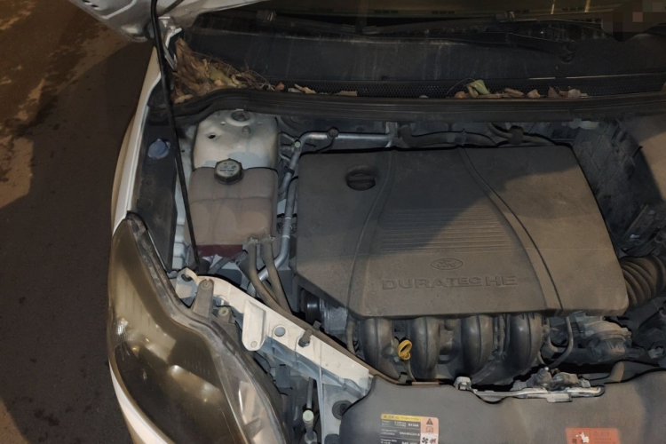 福特 福克斯 2013款 两厢经典 1.8L 手动时尚型局部细节9006