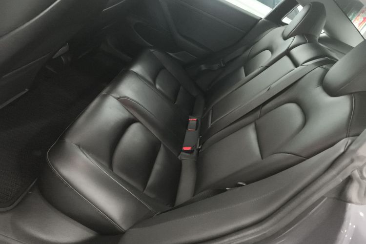 特斯拉 Model 3 2019款 标准续航后驱升级版中控内饰21