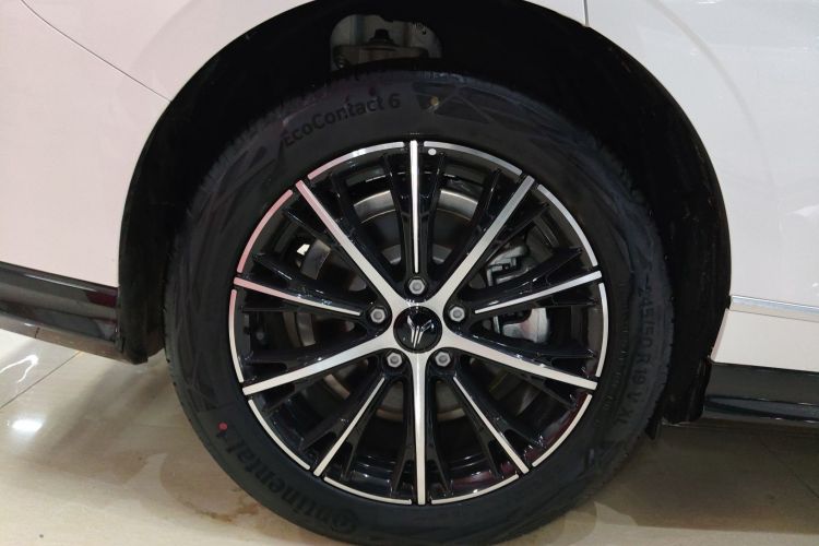 岚图汽车 岚图追光 2024款 PHEV 四驱超长续航行政版车身外观6002