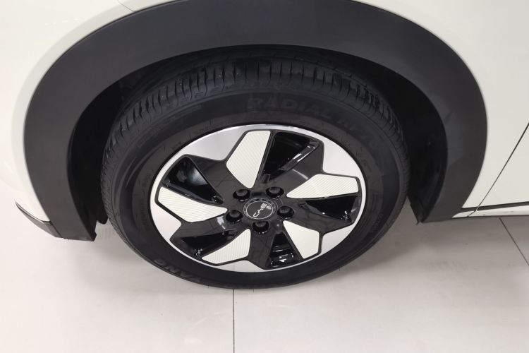 比亚迪 海豚 2024款 荣耀版 420km 时尚版车身外观6002