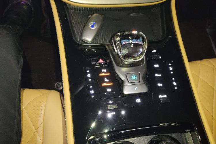 腾势D9 2024款 DM-i 980 四驱尊荣型中控内饰18