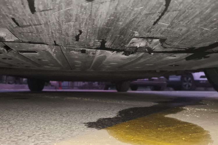 比亚迪 海鸥 2023款 自由版局部细节9008