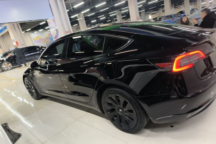特斯拉 Model 3 2021款 标准续航后驱升级版车身外观6003