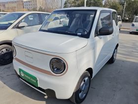 吉利银河 2024款 熊猫mini 200km 耐力熊