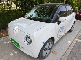 欧拉黑猫 2022款 301km 基础型 三元锂