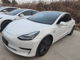 特斯拉 Model 3 2020款 标准续航后驱升级版