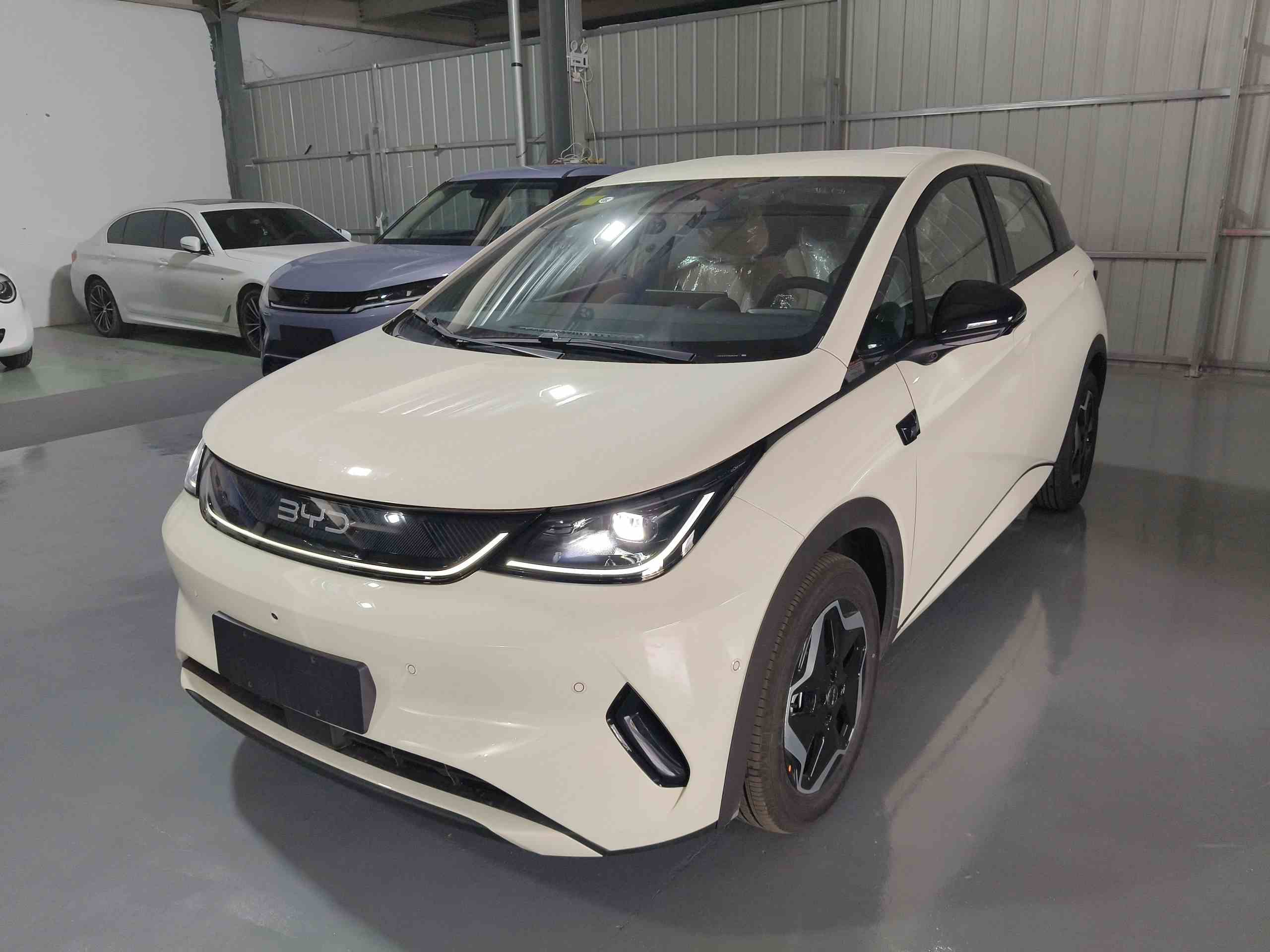 比亚迪 海豚 2025款 智驾版 420km 自由版(2)