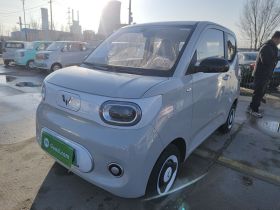 五菱汽车 宏光MINIEV 2024款 第三代 215km 青春版