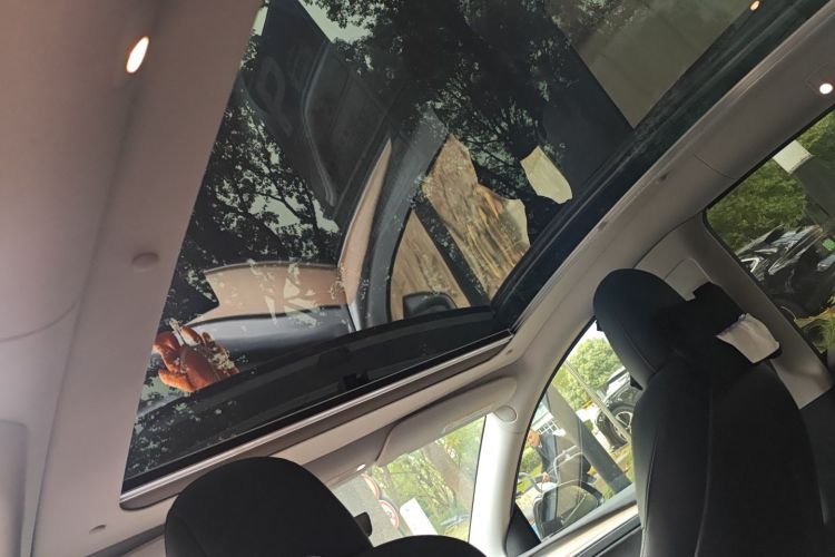 特斯拉 Model Y 2021款 标准续航后驱版局部细节22