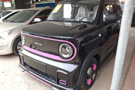 吉利银河 2025款 210km 熊猫卡丁