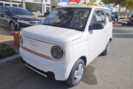 吉利银河 2024款 熊猫mini 200km 耐力熊