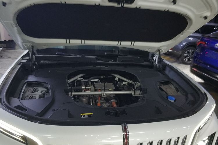 红旗E-HS9 2022款 660km 旗畅版 六座机舱底盘24