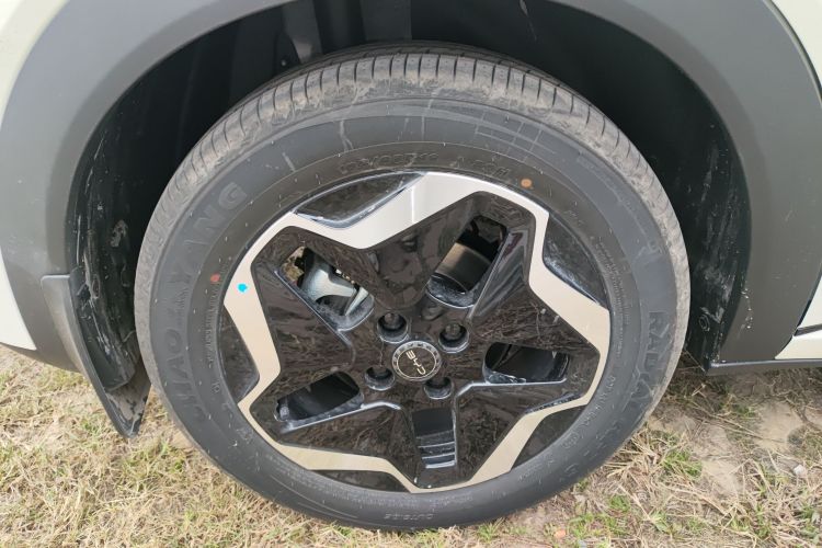 比亚迪 海豚 2025款 智驾版 420km 自由版车身外观6008