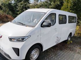 五菱汽车 五菱扬光 2024款 300KM 舒适型客车版 75kW