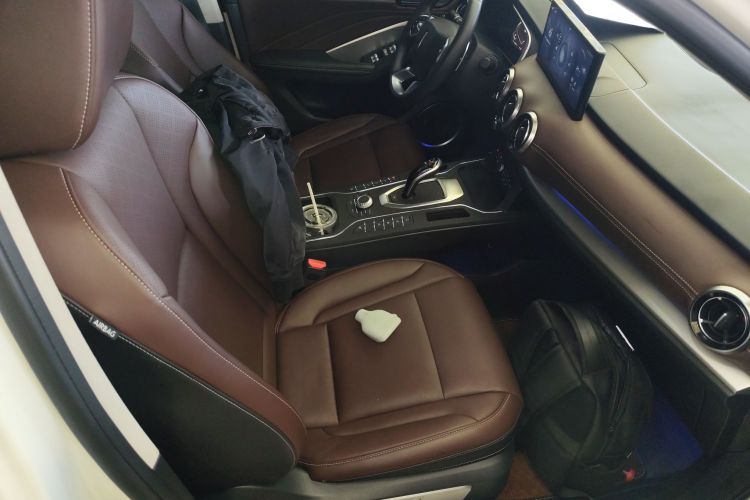 魏牌 VV6 2021款 2.0T 两驱智护+局部细节41